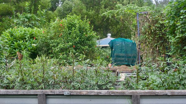 Comment intégrer avec succès les principes de la permaculture dans un projet d'agriculture urbaine?